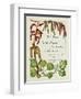 The Trees of Great Britain and Ireland, Volume 1-Henry John and Augustine Elwes and Henry-Framed Premium Giclee Print