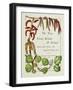 The Trees of Great Britain and Ireland, Volume 1-Henry John and Augustine Elwes and Henry-Framed Giclee Print