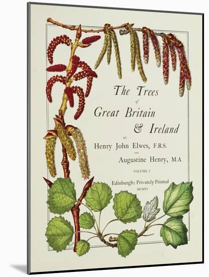 The Trees of Great Britain and Ireland, Volume 1-Henry John and Augustine Elwes and Henry-Mounted Giclee Print