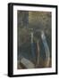 The Trees of Life I-Doug Chinnery-Framed Photographic Print