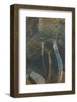 The Trees of Life I-Doug Chinnery-Framed Photographic Print