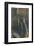 The Trees of Life I-Doug Chinnery-Framed Photographic Print