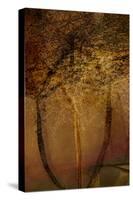 The Trees of Life II-Doug Chinnery-Stretched Canvas