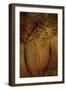 The Trees of Life II-Doug Chinnery-Framed Photographic Print