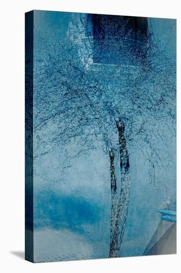The Trees of Life III-Doug Chinnery-Stretched Canvas