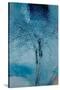 The Trees of Life III-Doug Chinnery-Stretched Canvas