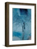 The Trees of Life III-Doug Chinnery-Framed Photographic Print