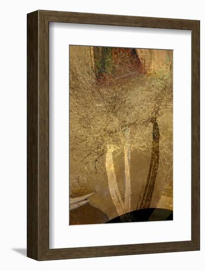 The Trees of Life IV-Doug Chinnery-Framed Photographic Print