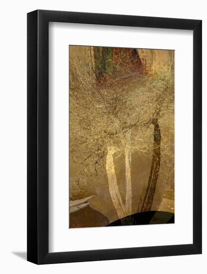 The Trees of Life IV-Doug Chinnery-Framed Photographic Print