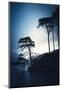 The Trees of Loch Eilt-Philippe Saint-Laudy-Mounted Photographic Print