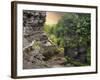 The Treman Trail-Jessica Jenney-Framed Photographic Print