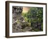 The Treman Trail-Jessica Jenney-Framed Photographic Print