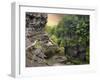 The Treman Trail-Jessica Jenney-Framed Photographic Print