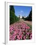 The Trent Building, Nottingham University, University Park, Nottingham, Nottinghamshire, England-Neale Clarke-Framed Photographic Print