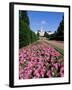 The Trent Building, Nottingham University, University Park, Nottingham, Nottinghamshire, England-Neale Clarke-Framed Photographic Print