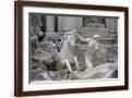 Brown Frame