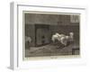 The Trial of the City of Glasgow Bank Directors-null-Framed Giclee Print