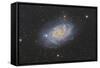 The Triangulum Galaxy, also known as Messier 33-null-Framed Stretched Canvas