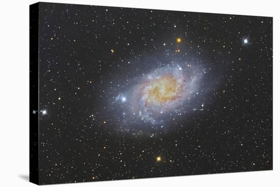 The Triangulum Galaxy, also known as Messier 33-null-Stretched Canvas