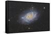 The Triangulum Galaxy, also known as Messier 33-null-Framed Stretched Canvas