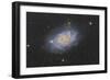 The Triangulum Galaxy, also known as Messier 33-null-Framed Premium Photographic Print