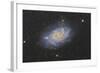 The Triangulum Galaxy, also known as Messier 33-null-Framed Photographic Print