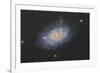 The Triangulum Galaxy, also known as Messier 33-null-Framed Photographic Print