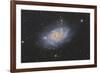 The Triangulum Galaxy, also known as Messier 33-null-Framed Photographic Print