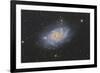 The Triangulum Galaxy, also known as Messier 33-null-Framed Photographic Print