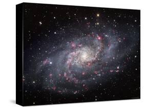 The Triangulum Galaxy-Stocktrek Images-Stretched Canvas