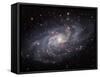 The Triangulum Galaxy-Stocktrek Images-Framed Stretched Canvas