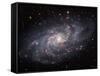 The Triangulum Galaxy-Stocktrek Images-Framed Stretched Canvas