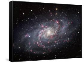 The Triangulum Galaxy-Stocktrek Images-Framed Stretched Canvas