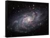 The Triangulum Galaxy-Stocktrek Images-Framed Stretched Canvas