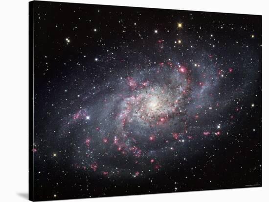 The Triangulum Galaxy-Stocktrek Images-Stretched Canvas