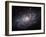 The Triangulum Galaxy-Stocktrek Images-Framed Premium Photographic Print