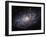 The Triangulum Galaxy-Stocktrek Images-Framed Premium Photographic Print