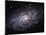 The Triangulum Galaxy-Stocktrek Images-Mounted Photographic Print