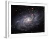 The Triangulum Galaxy-Stocktrek Images-Framed Photographic Print