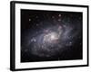 The Triangulum Galaxy-Stocktrek Images-Framed Photographic Print