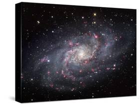 The Triangulum Galaxy-Stocktrek Images-Stretched Canvas
