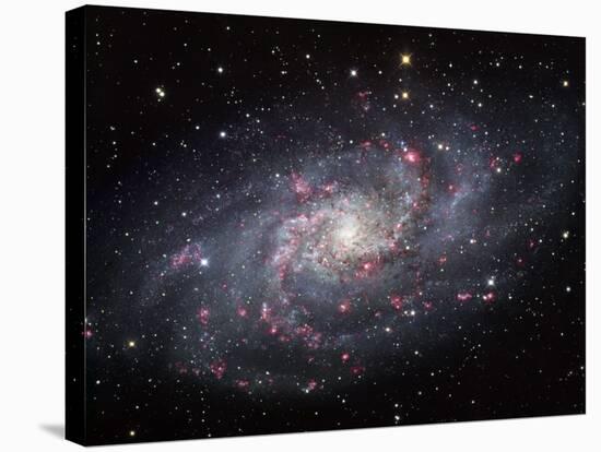 The Triangulum Galaxy-Stocktrek Images-Stretched Canvas