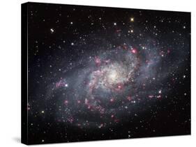 The Triangulum Galaxy-Stocktrek Images-Stretched Canvas