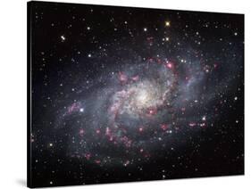 The Triangulum Galaxy-Stocktrek Images-Stretched Canvas