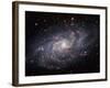 The Triangulum Galaxy-Stocktrek Images-Framed Photographic Print