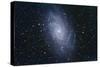 The Triangulum Galaxy-null-Stretched Canvas