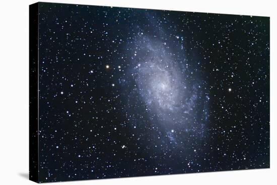 The Triangulum Galaxy-null-Stretched Canvas