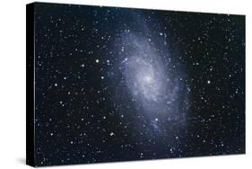 The Triangulum Galaxy-null-Stretched Canvas