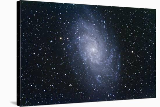 The Triangulum Galaxy-null-Stretched Canvas