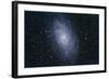 The Triangulum Galaxy-null-Framed Photographic Print